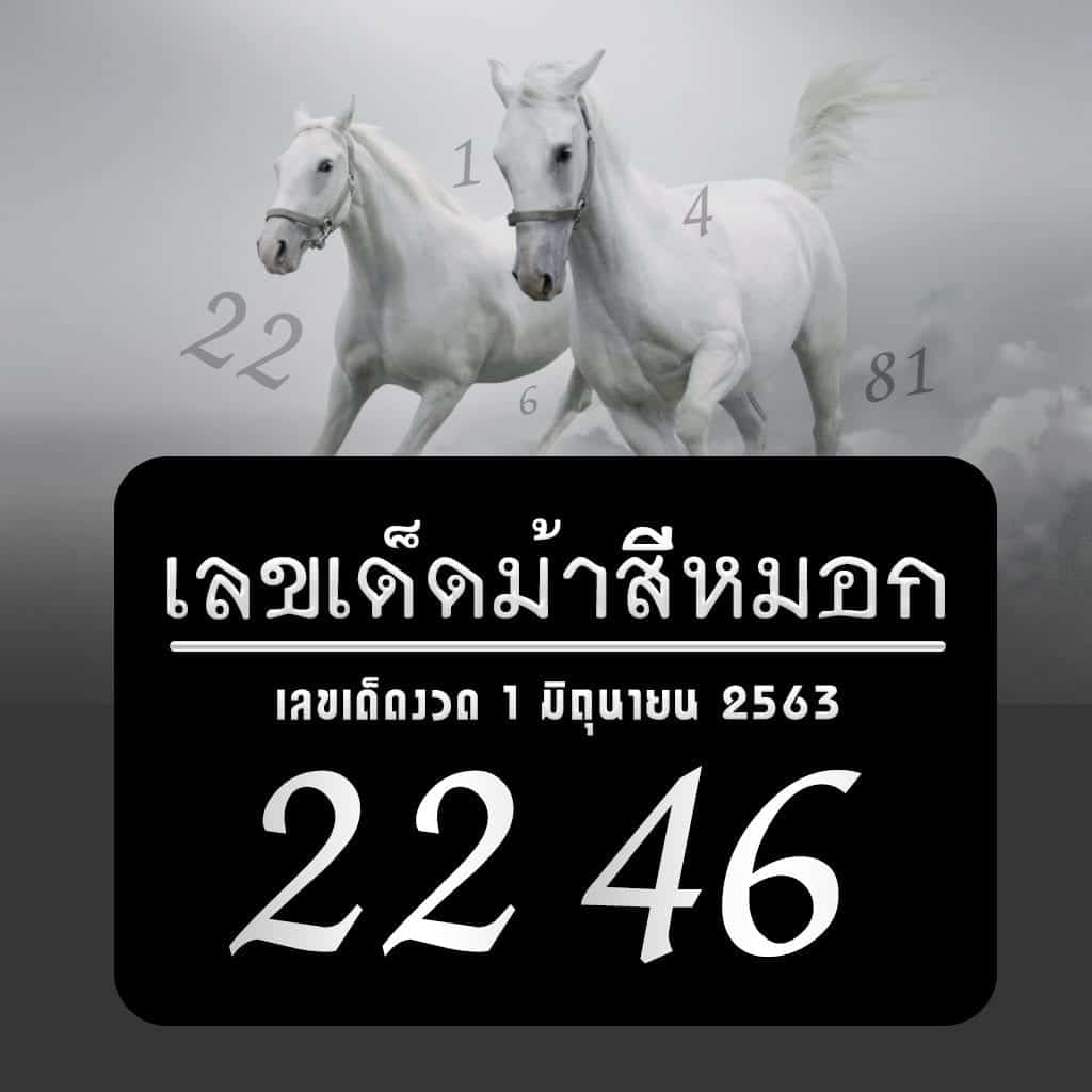 ม้าสีหมอก 1/6/63