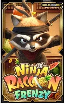 ninja raccoon frenzy