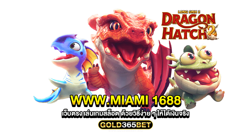 www.miami 1688 เว็บตรง เล่นเกมสล็อต ด้วยวิธีง่าย ๆ ให้ได้เงินจริง